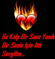 /album/foto-galerimiz/a82134222yx9-1-png1/